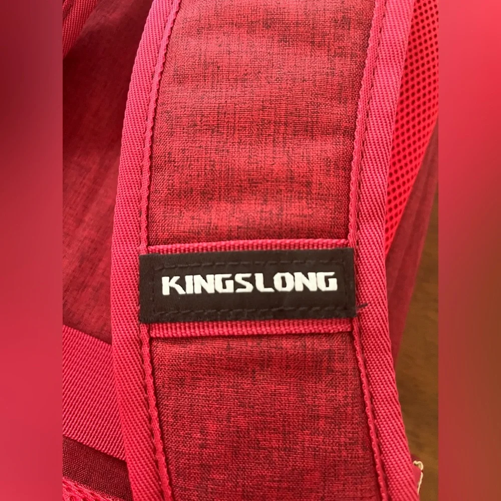 Casual Unisex Burgundy Laptop Backpack- Versatile Everyday Bag